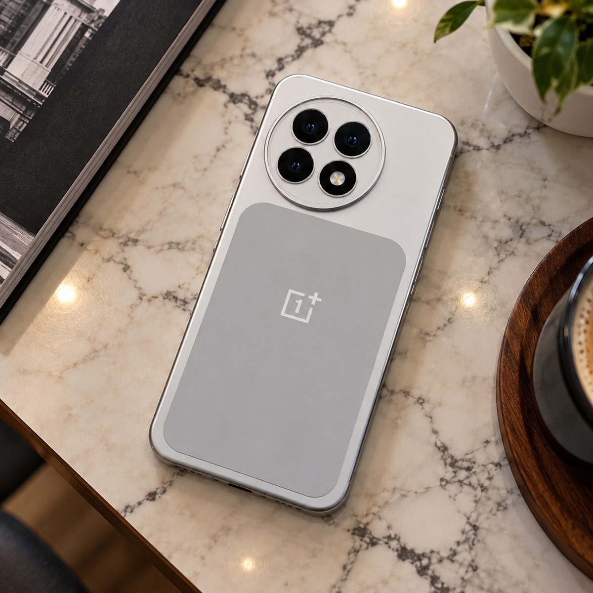 OnePlus - Arctic Silver Frost Case